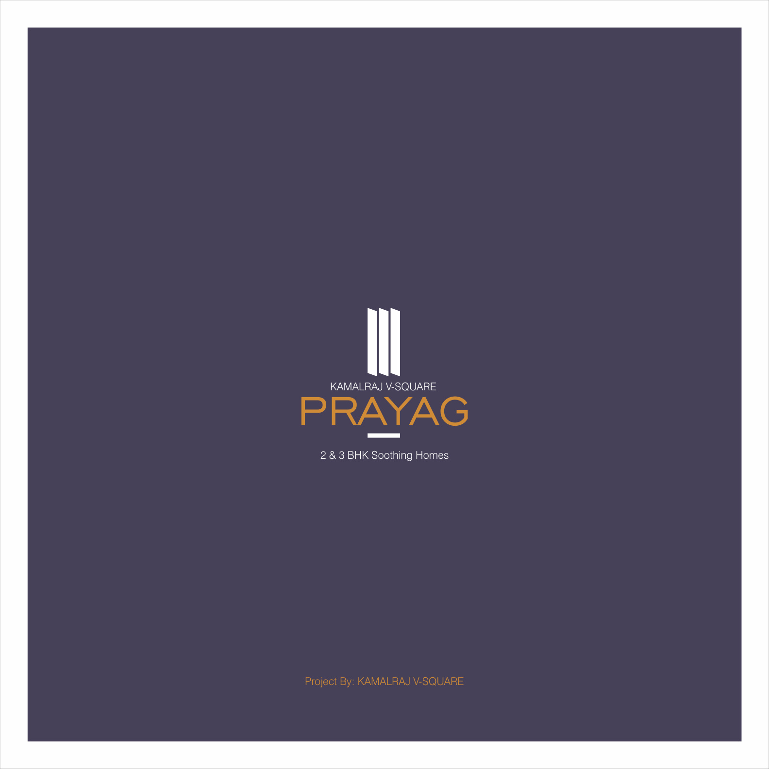Project for Sale in Charholi, Pune — photo 8