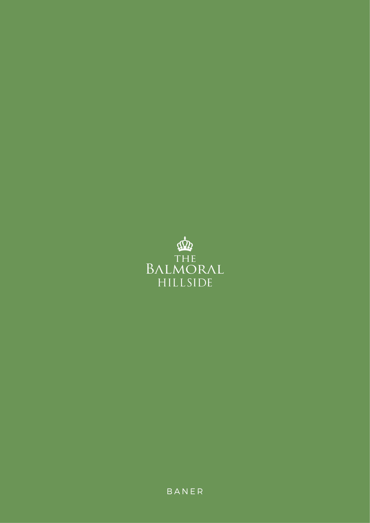 Project for Sale in Baner, Pune — photo 4